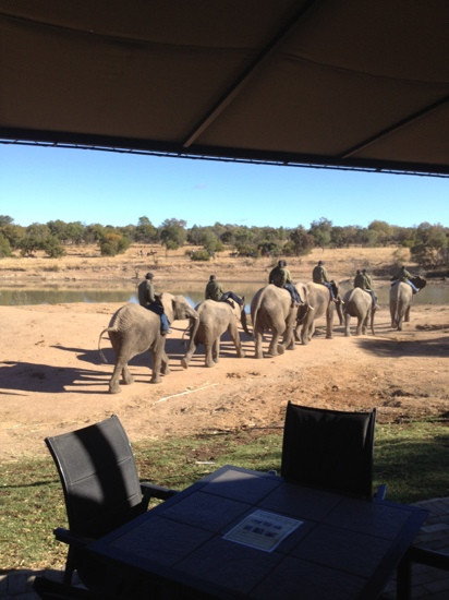 Adventures with Elephants-贝拉贝拉必去景点
