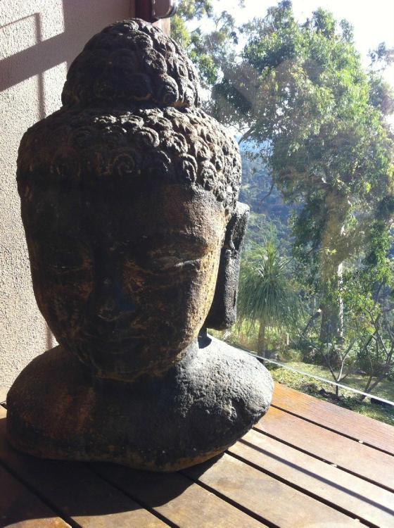 Koonyum Range Retreat Byron Bay-客卧