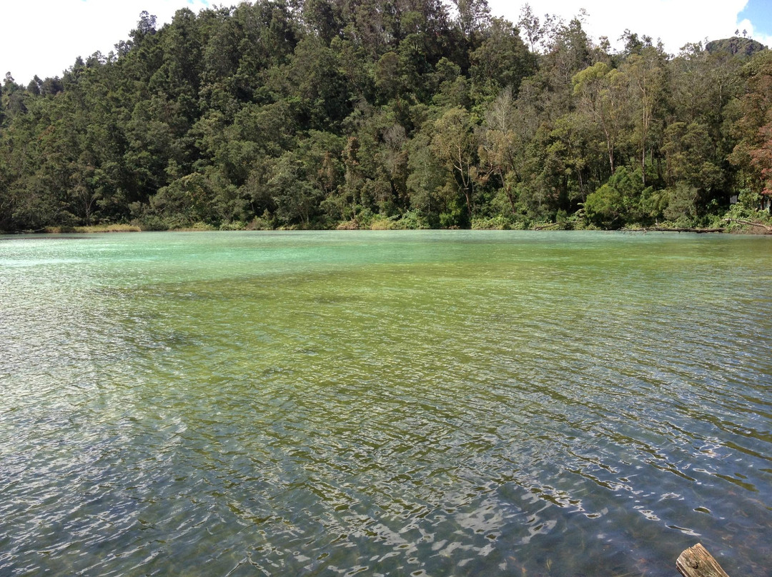 Telaga Warna景点图片