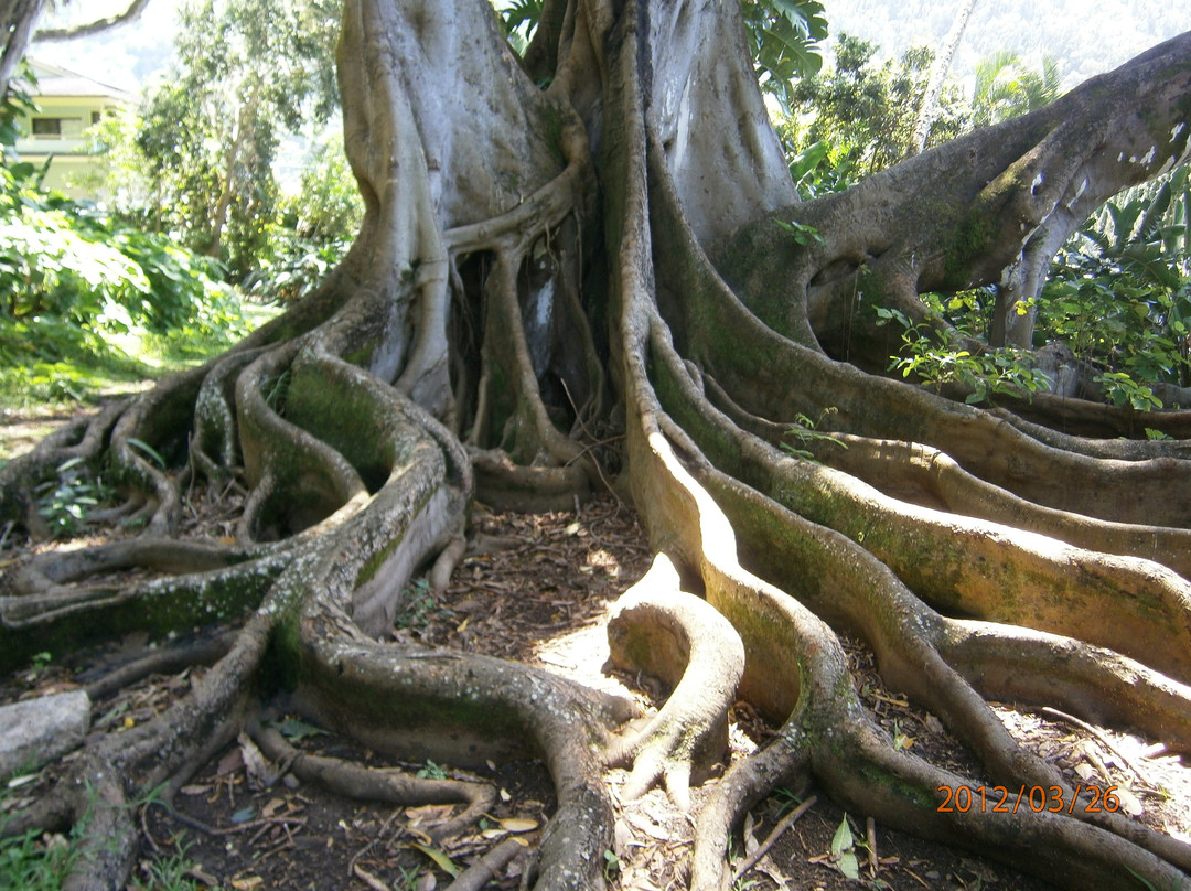 埃玛皇后夏日行宫-火奴鲁鲁必去景点