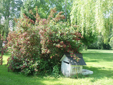 Laverriere旅游攻略图片