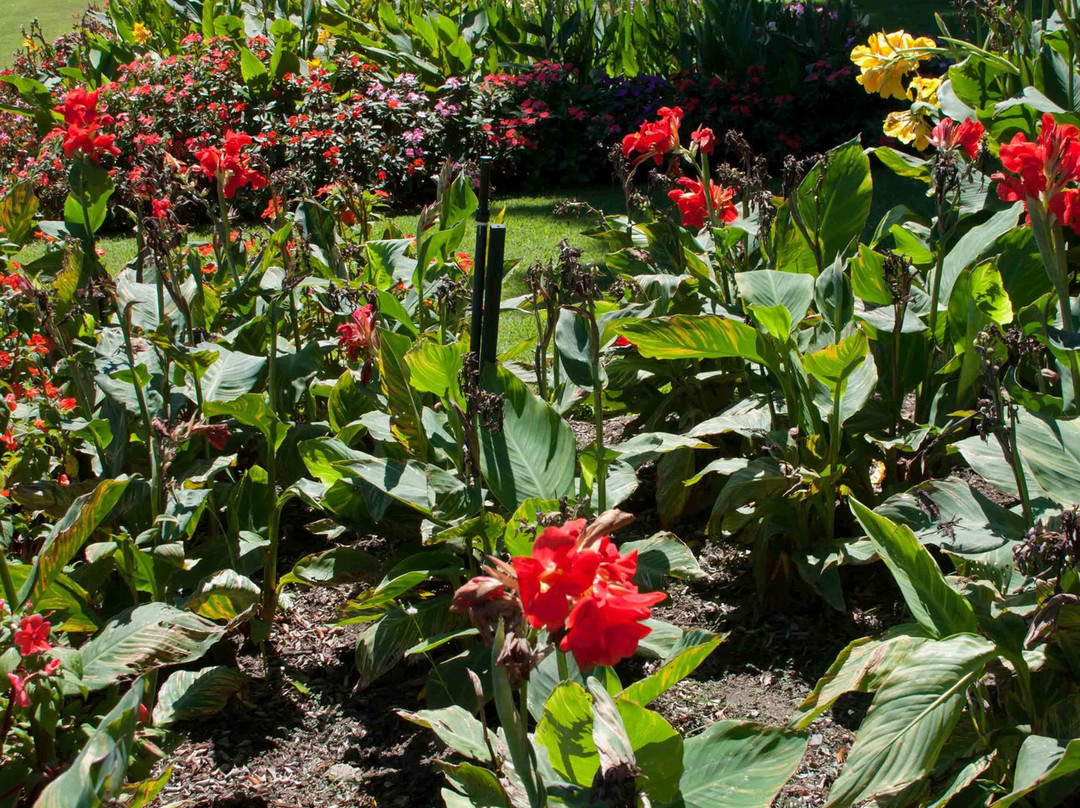 罗马大街公园-布里斯班必去景点