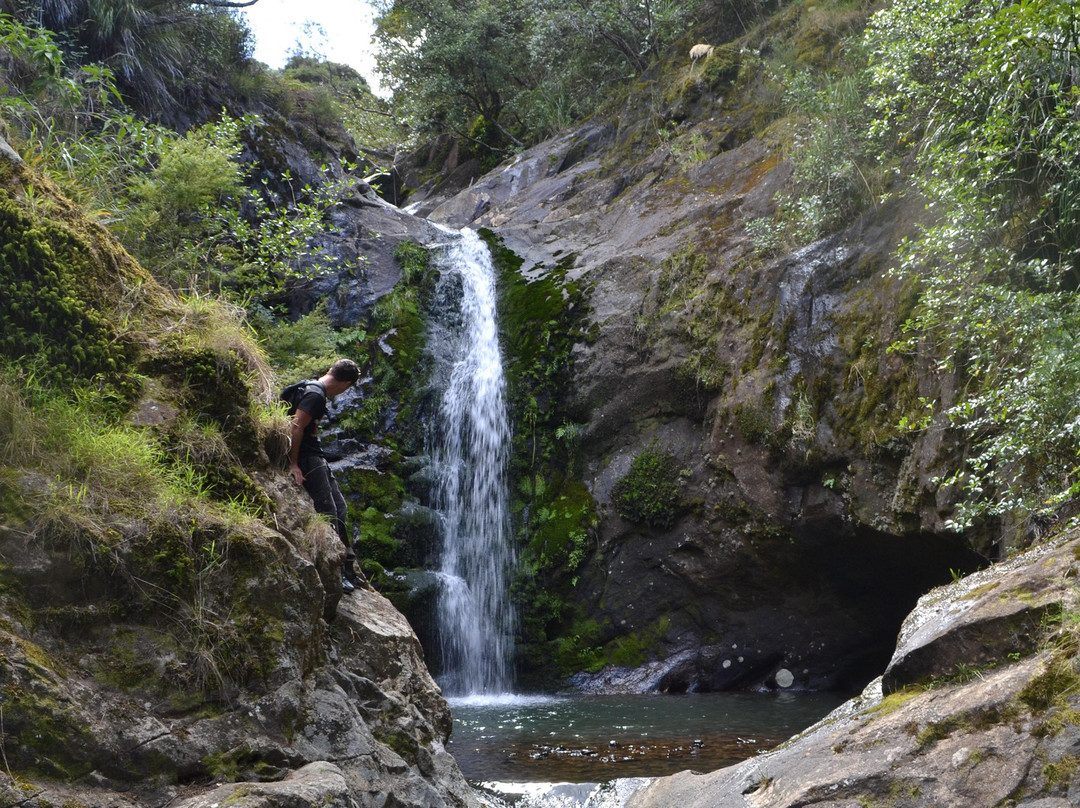 NZ Quadbike Adventures-菲蒂昂格必去景点