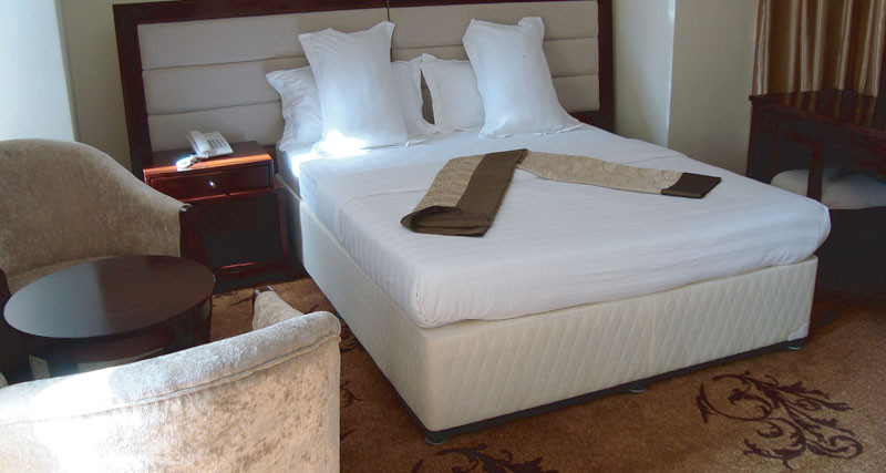 Nyegezi酒店住宿-Victoria Palace Hotel