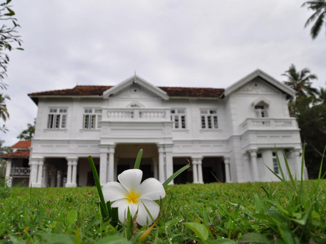Villa de Zoysa