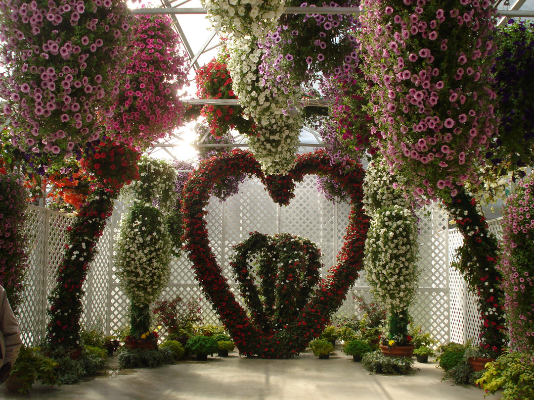 Glacier Gardens Rainforest Adventure-朱诺必去景点