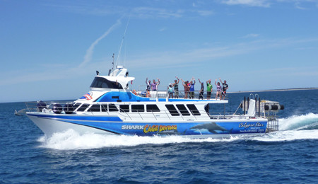 Calypso Star Charters-Port Lincoln必去景点