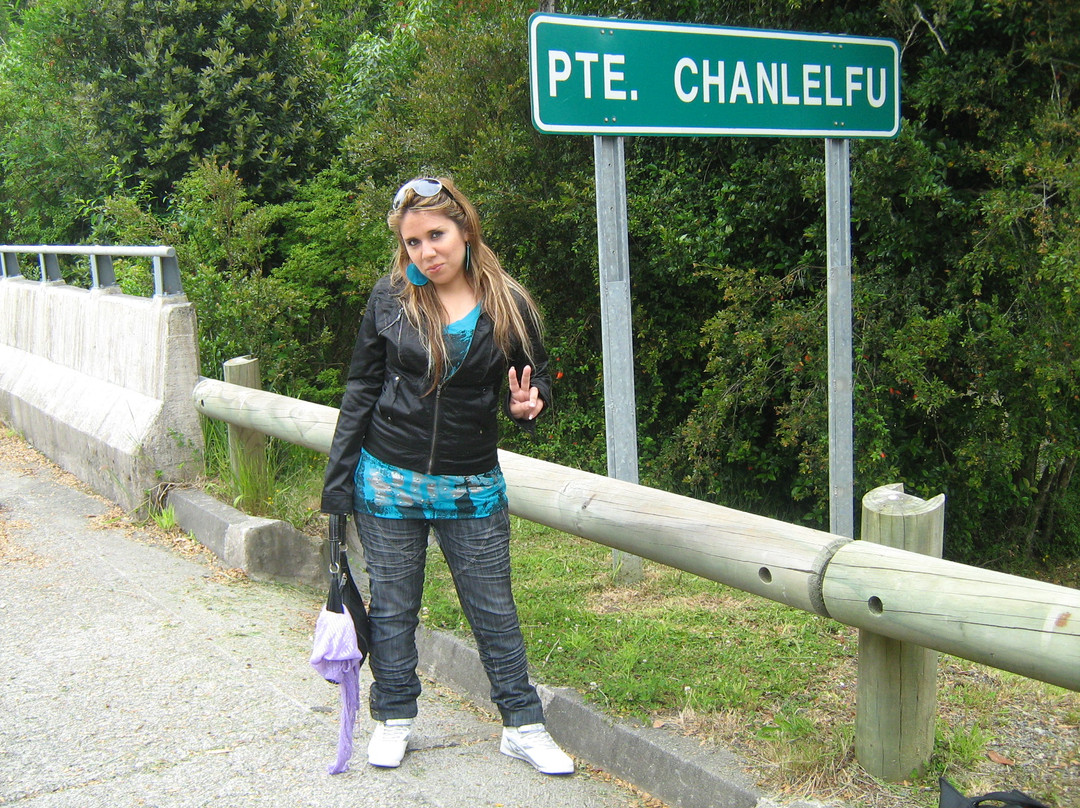 Termas y cabanas Aguas Calientes-Osorno必去景点
