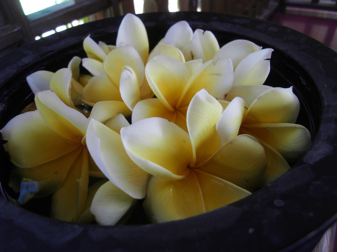 巴厘绿色水疗-库塔必去景点