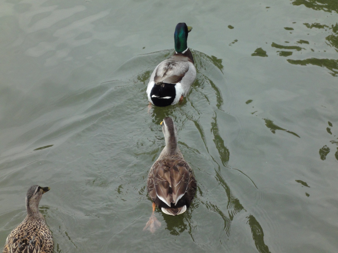 孤山-杭州市必去景点