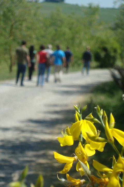 Arianna & Friends Day Tours-Terricciola必去景点