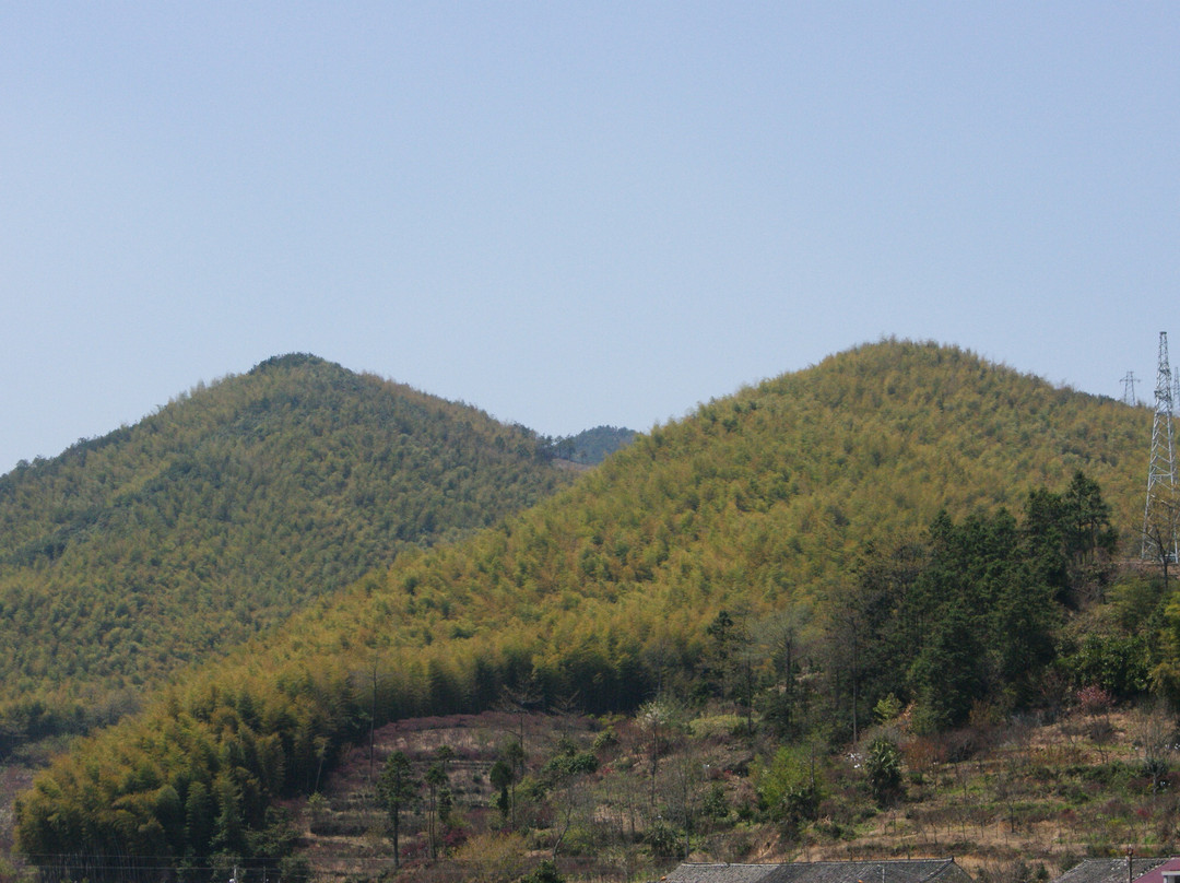 四明山国家森林公园-余姚市必去景点