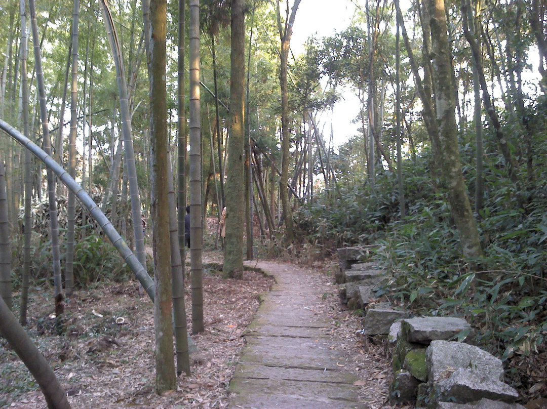 太姥山风景区景点图片