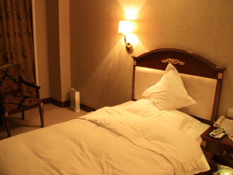 天鹅大酒店主图