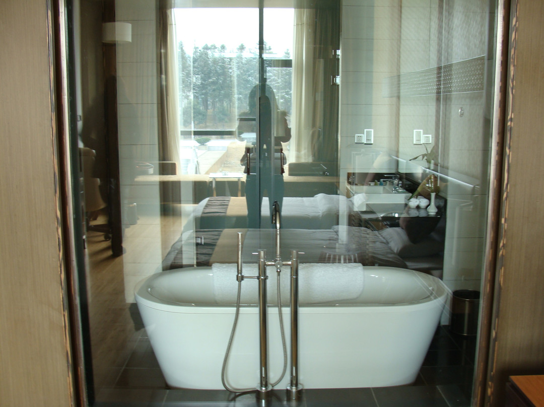 黄山奇墅仙境中坤国际大酒店主图