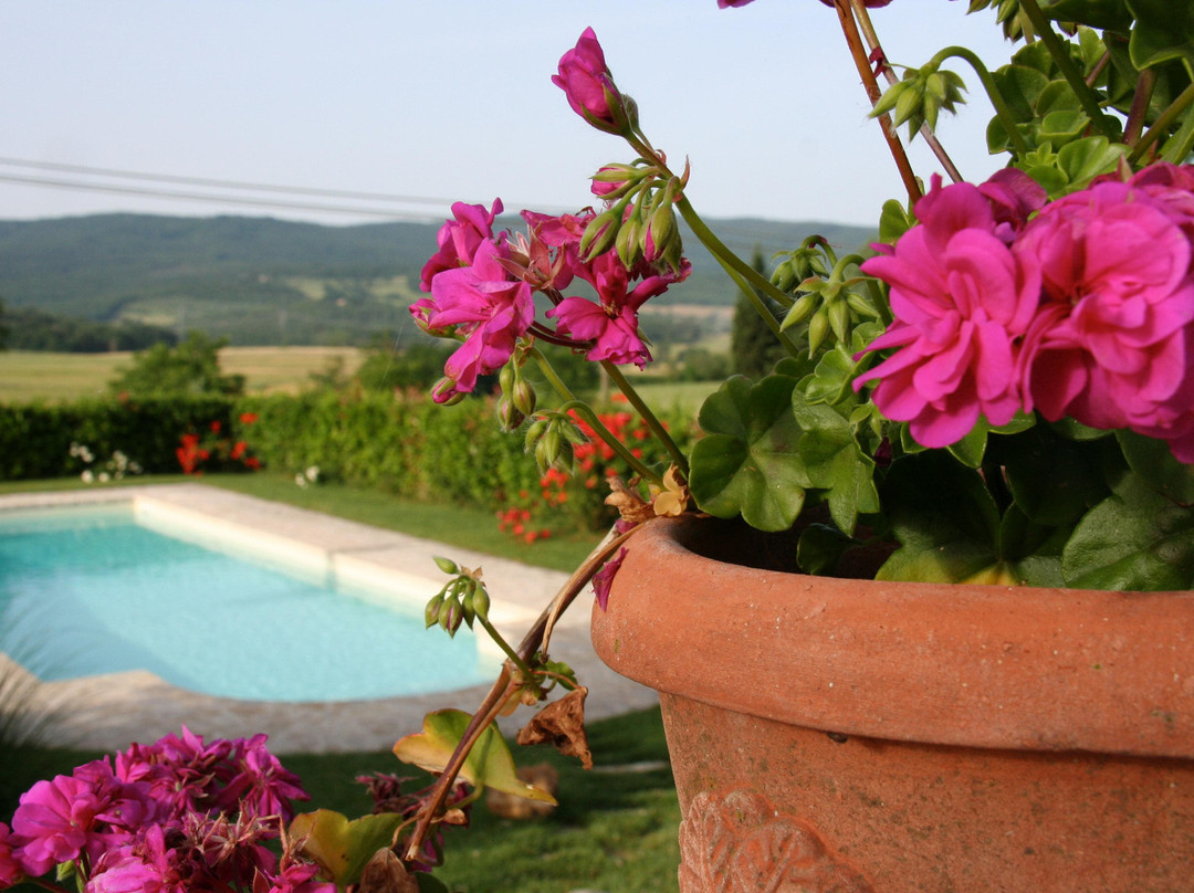 Gigliola House (Villa Gigliola- Giglio)