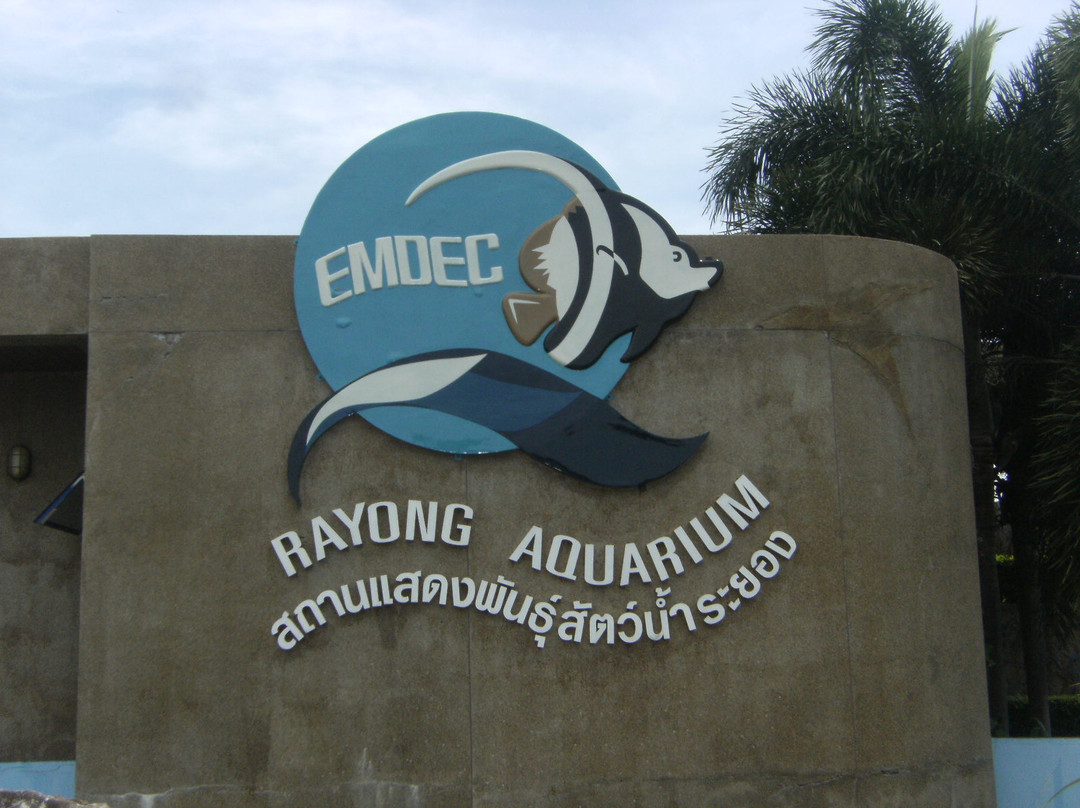 Rayong Aquarium-罗勇必去景点