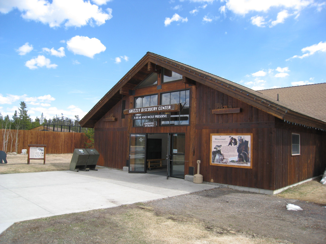 灰熊与狼保护中心-西黄石镇必去景点