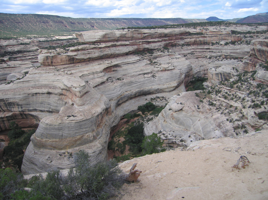 Natural Bridges National Monument-布兰丁必去景点