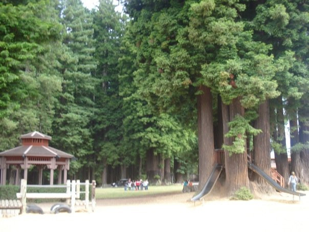Sequoia Park Zoo景点图片