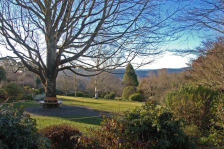 The Blue Mountains Botanic Garden景点图片