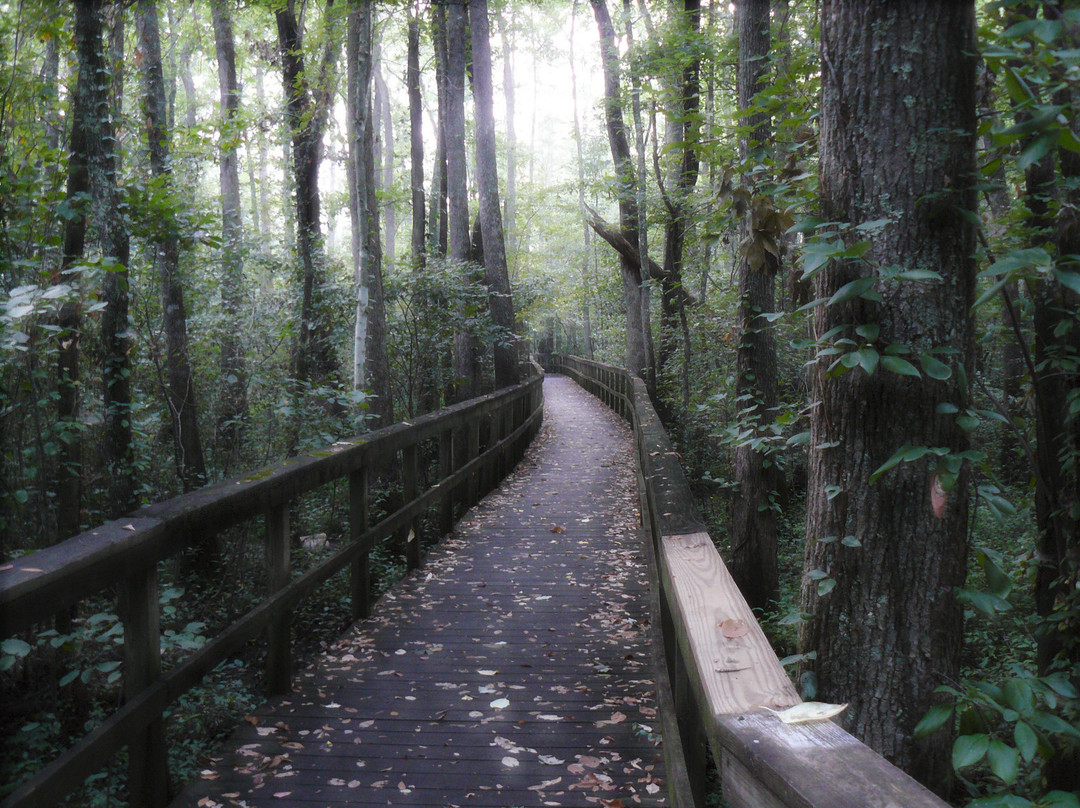 Cypress Grove Nature Park景点图片