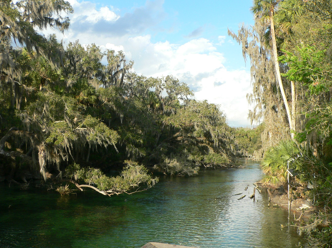 Blue Spring State Park-橙县必去景点
