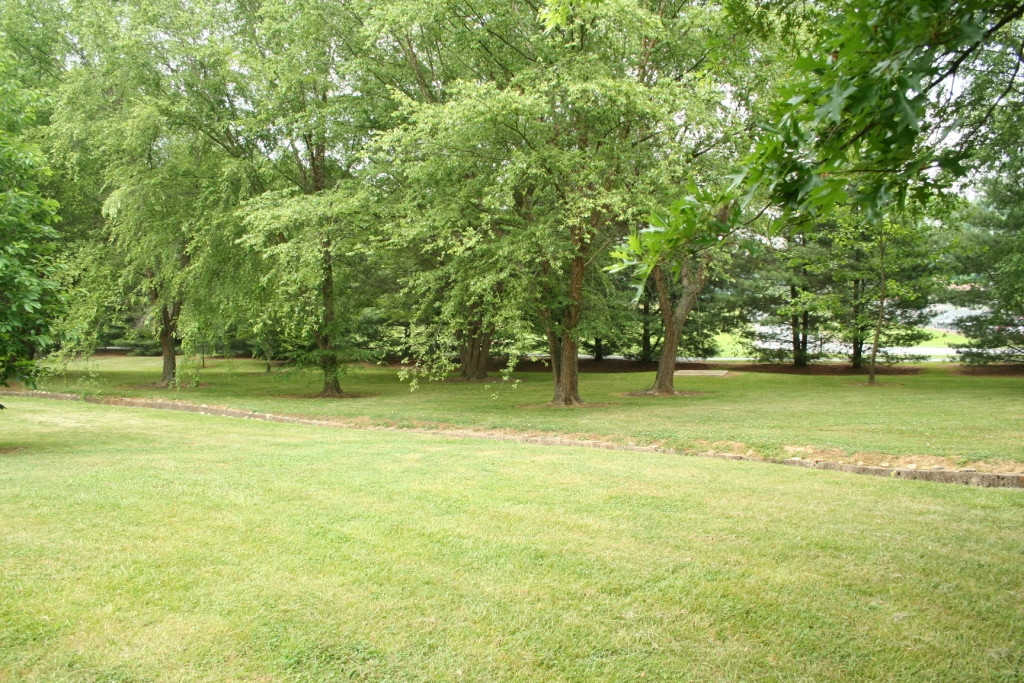 Sycamore Shoals State Historic Park景点图片