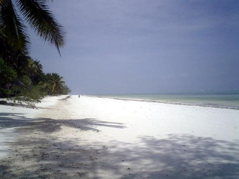 Andy's Karibuni Romantic Garden主图