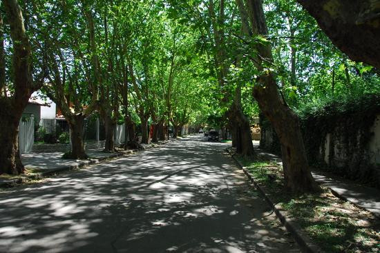 Teresita Bed & Breakfast主图