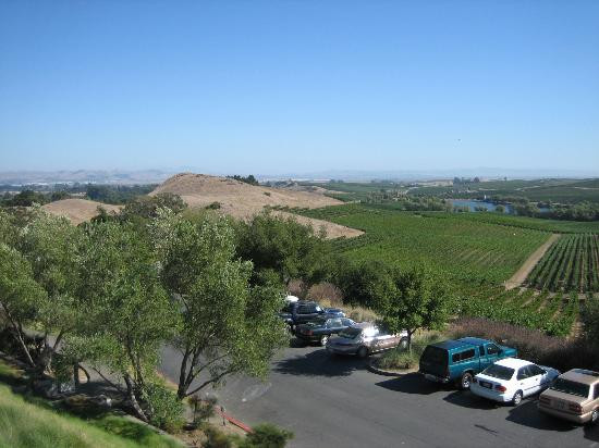 阿尔特萨酒庄-纳帕必去景点