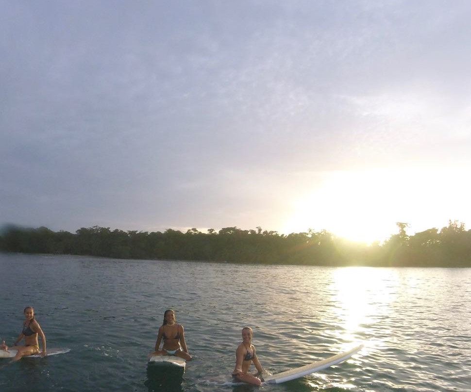Bocas Surf School & Hostel景点图片