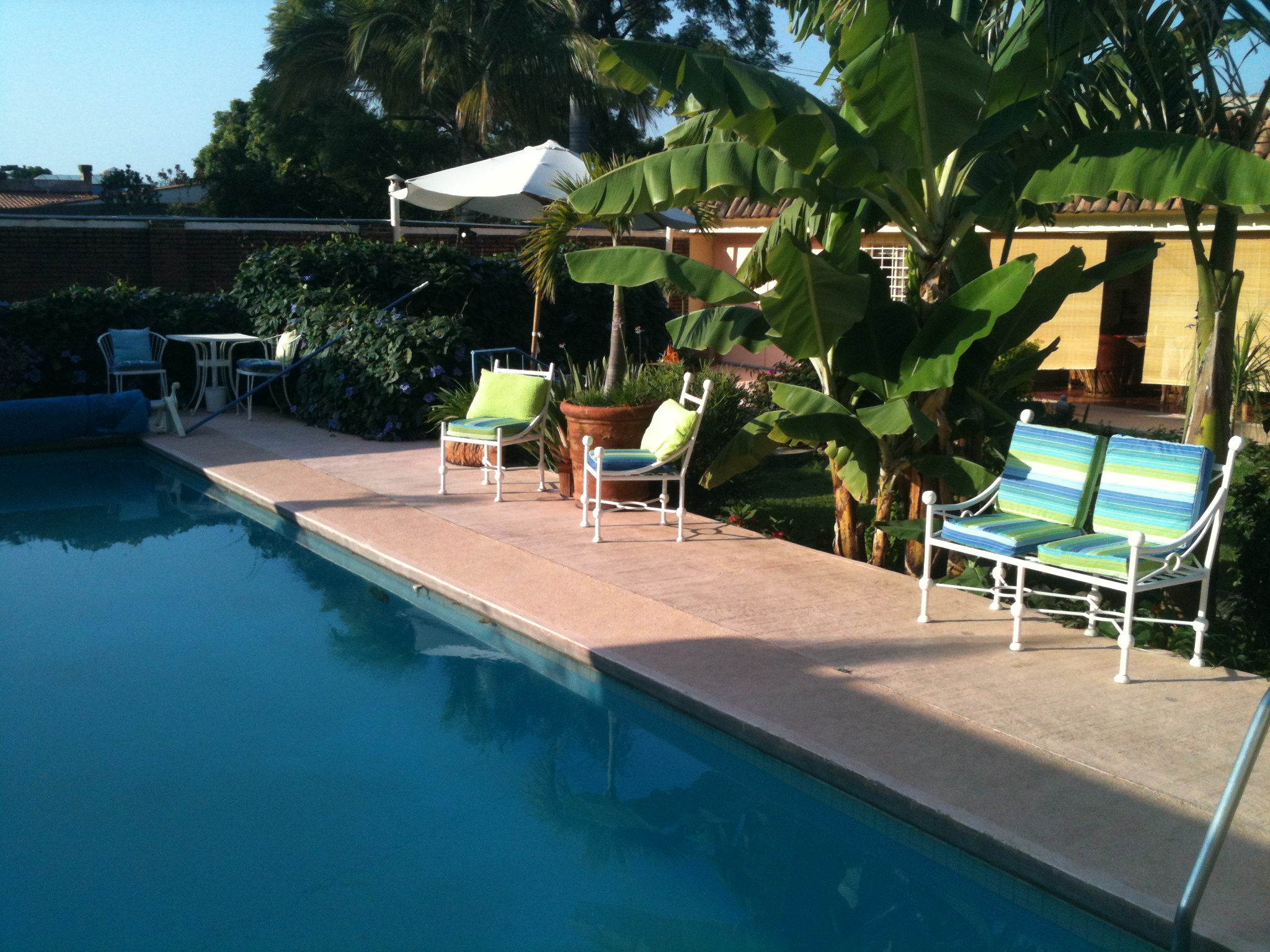 La Paloma Bed and Breakfast-泳池