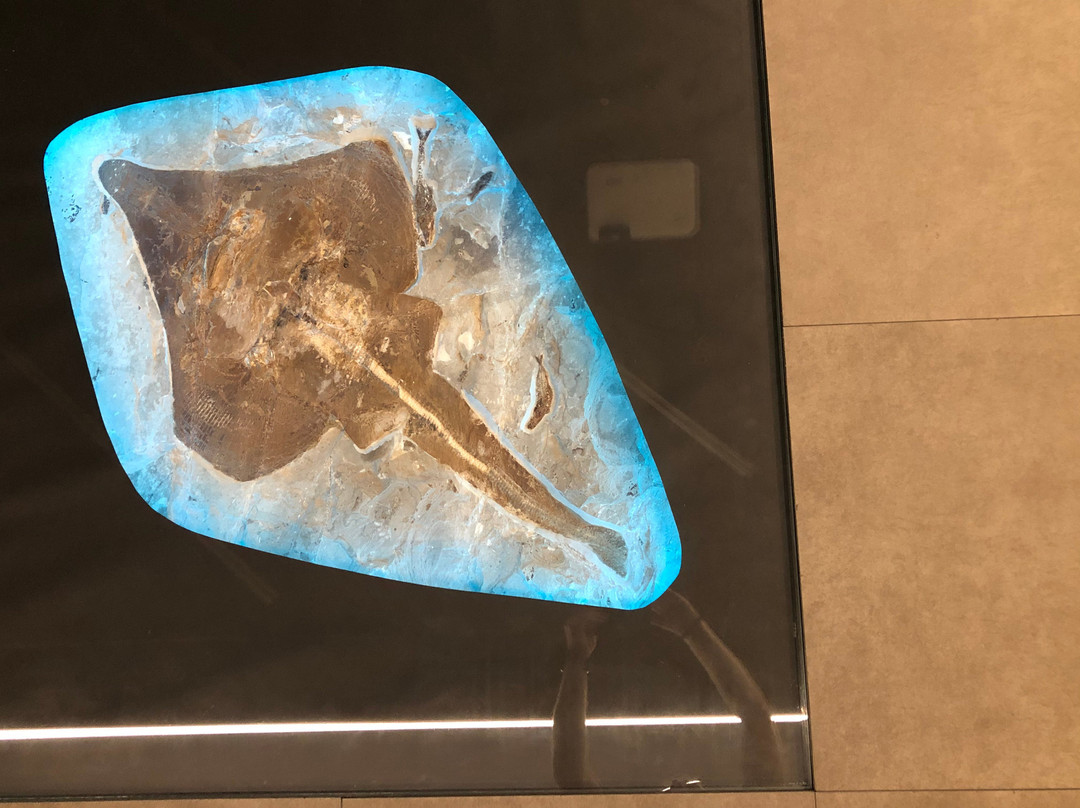 Mim Museum - Mineral Museum-贝鲁特必去景点