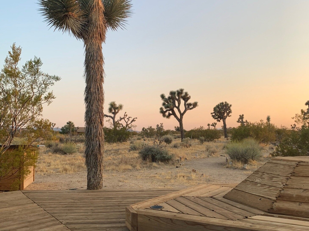 Joshua Tree Acres