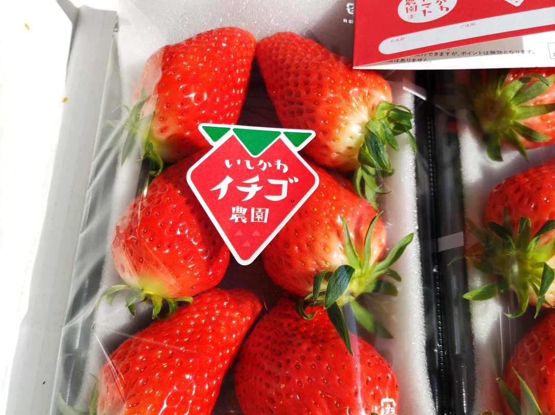 Ishikawa Strawberry Farm