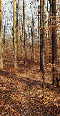 Palmer State Park