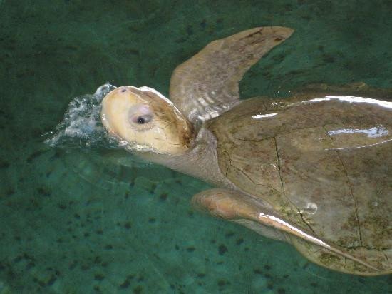 Huatulco Activities-瓦图尔科必去景点