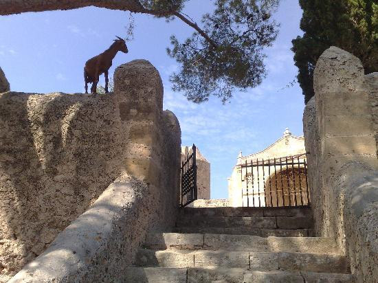 Puig de Pollenca-Pollenca必去景点