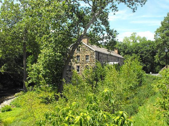 纽约植物园-布朗克斯必去景点