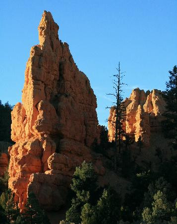 Dixie National Forest-锡达城必去景点