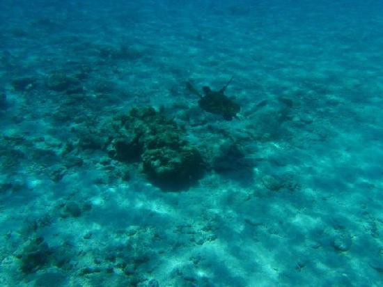 斯米兰群岛国家海洋公园-斯米兰群岛必去景点