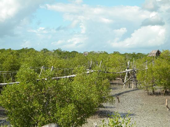 Donamasai Kenya Tours-马林地必去景点
