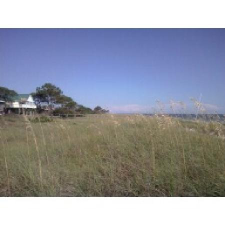 Bald Point State Park-Alligator Point必去景点