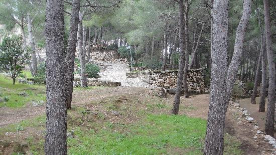 Denia Castle and Archaeological Museum景点图片
