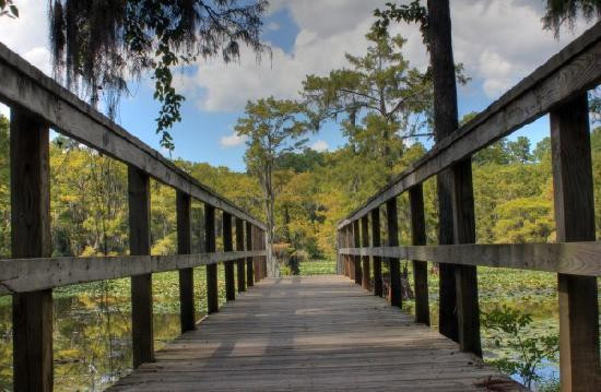 Caddo Lake State Park-Karnack必去景点