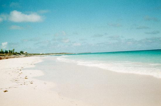 Great Guana Cay-Great Guana Cay必去景点