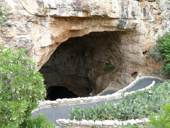 Big Room-卡尔斯巴德洞穴国家公园必去景点