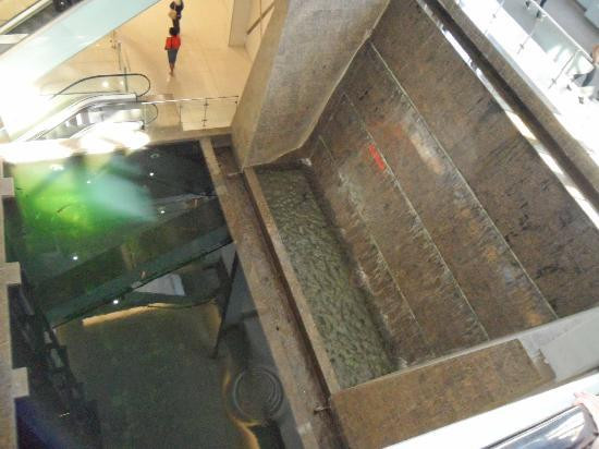 Loch Logan Waterfront-布隆方丹必去景点