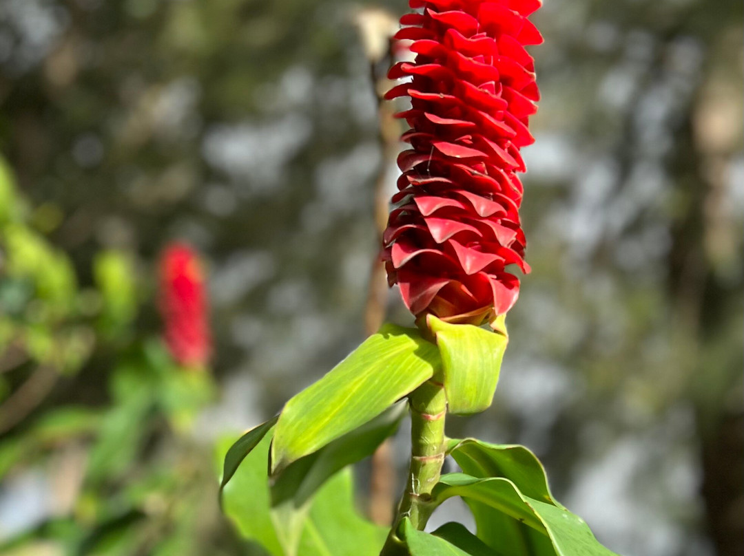 海勒华拉来住宿加早餐旅馆主图